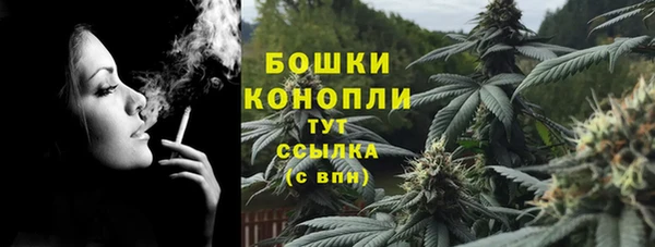 дурь Билибино