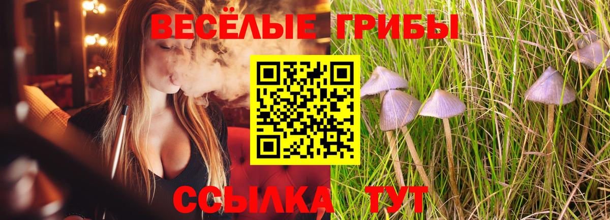 Галлюциногенные грибы прущие грибы  Вход с VPN  Ртищево 